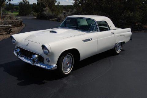 1955 Ford Thunderbird zu verkaufen