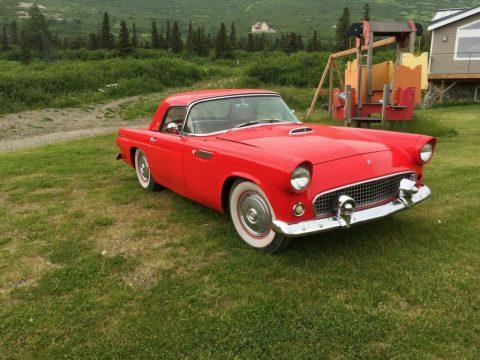 1955 Ford Thunderbird zu verkaufen