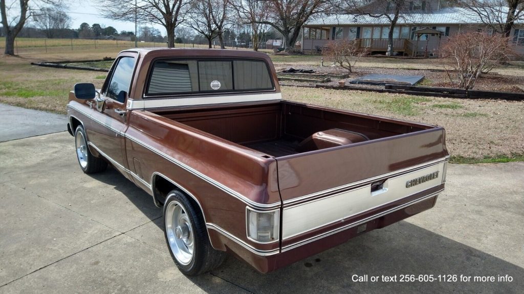 1980 Chevrolet C-10