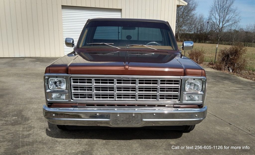 1980 Chevrolet C-10