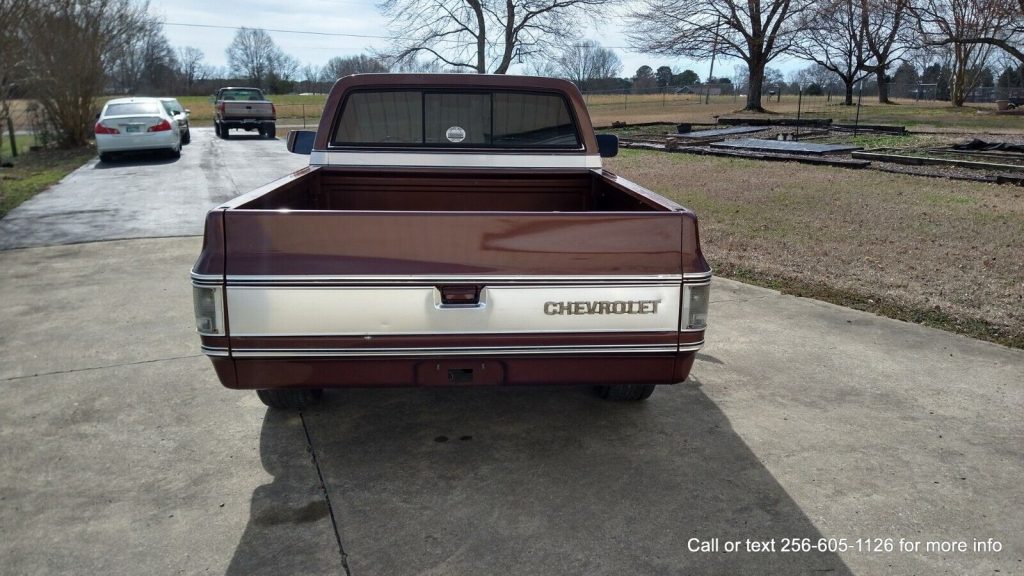 1980 Chevrolet C-10