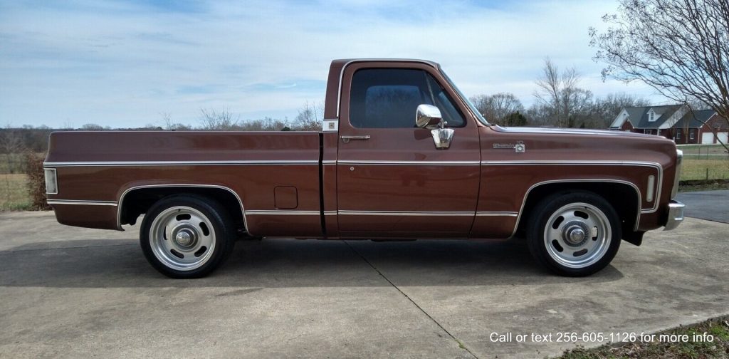 1980 Chevrolet C-10