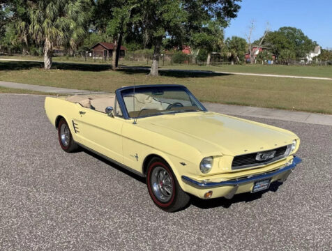 1966 Ford Mustang zu verkaufen