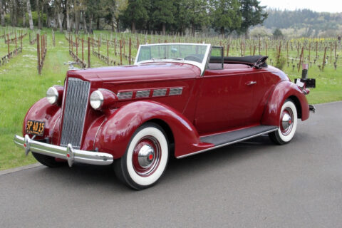 1937 Packard 120 Convertible zu verkaufen
