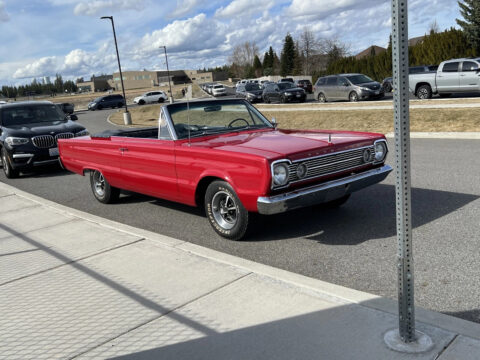 1966 Plymouth Belvedere zu verkaufen